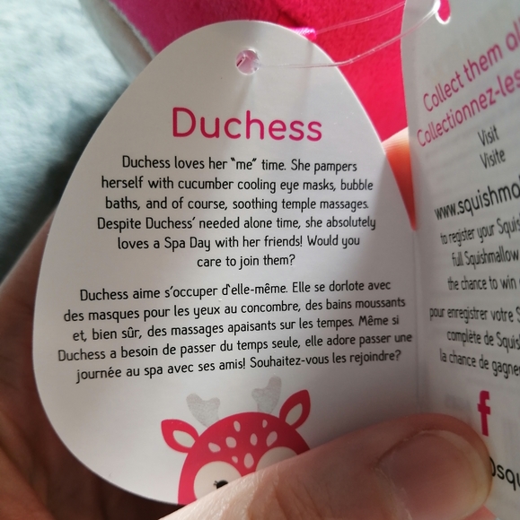 BNWT Dutchess & Farryn the fawns squishmallows - Picture 9 of 9